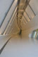Highslide JS